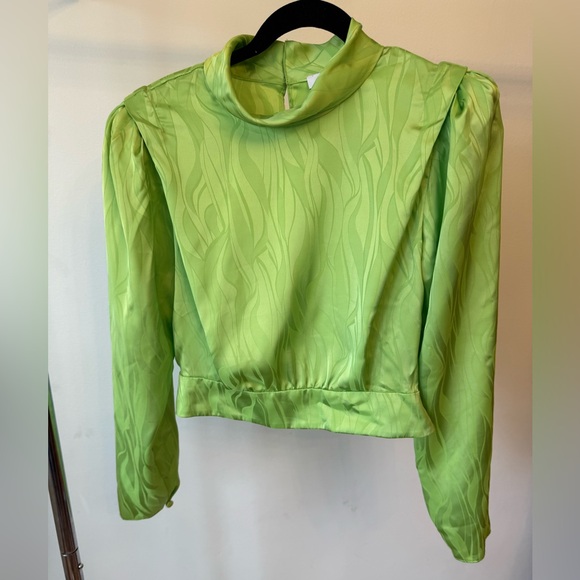 Ronny Kobo Collection Tops - Ronny Kobo Collection Light Green Satin Jacquard Long-Sleeve Top